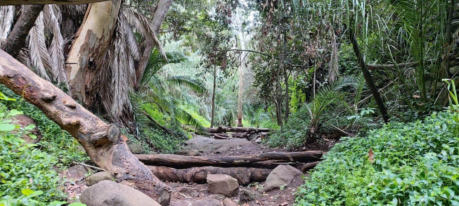 La Cabanita Сasa de vacaciones *